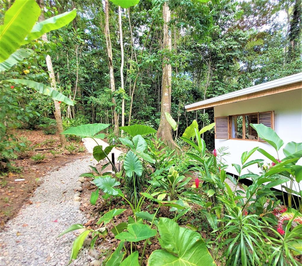 Satta Lodge (Adults Only) Puerto Viejo de Talamanca Kültér fotó