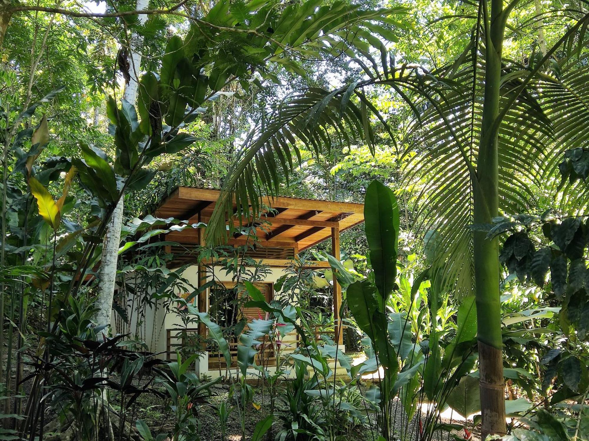 Satta Lodge (Adults Only) Puerto Viejo de Talamanca Szoba fotó