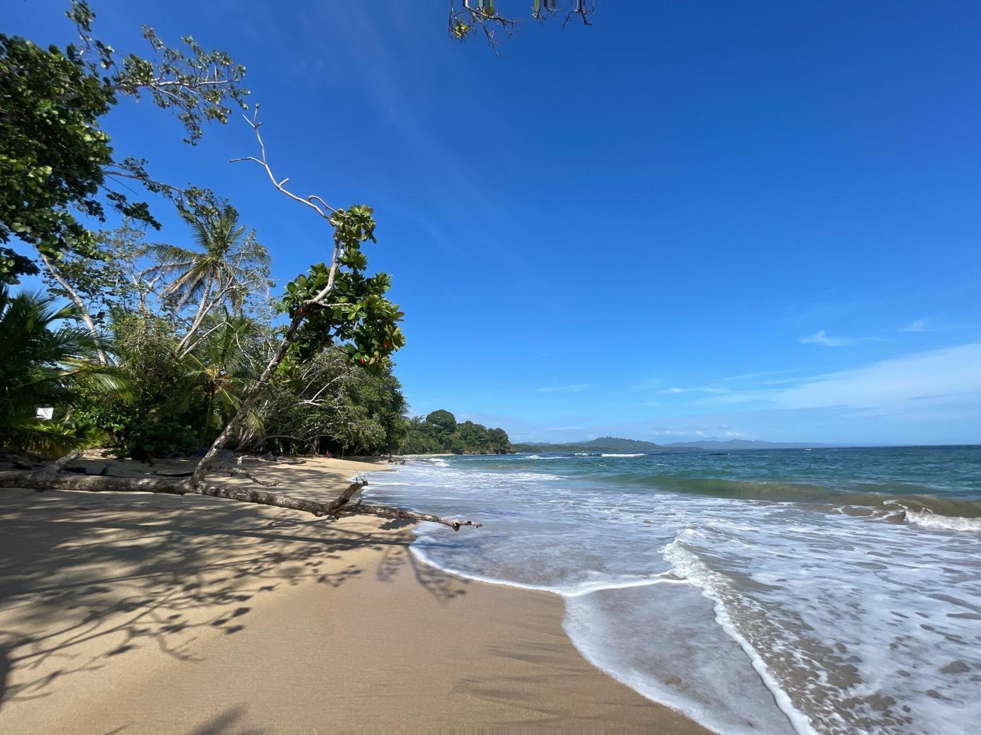 Satta Lodge (Adults Only) Puerto Viejo de Talamanca Kültér fotó