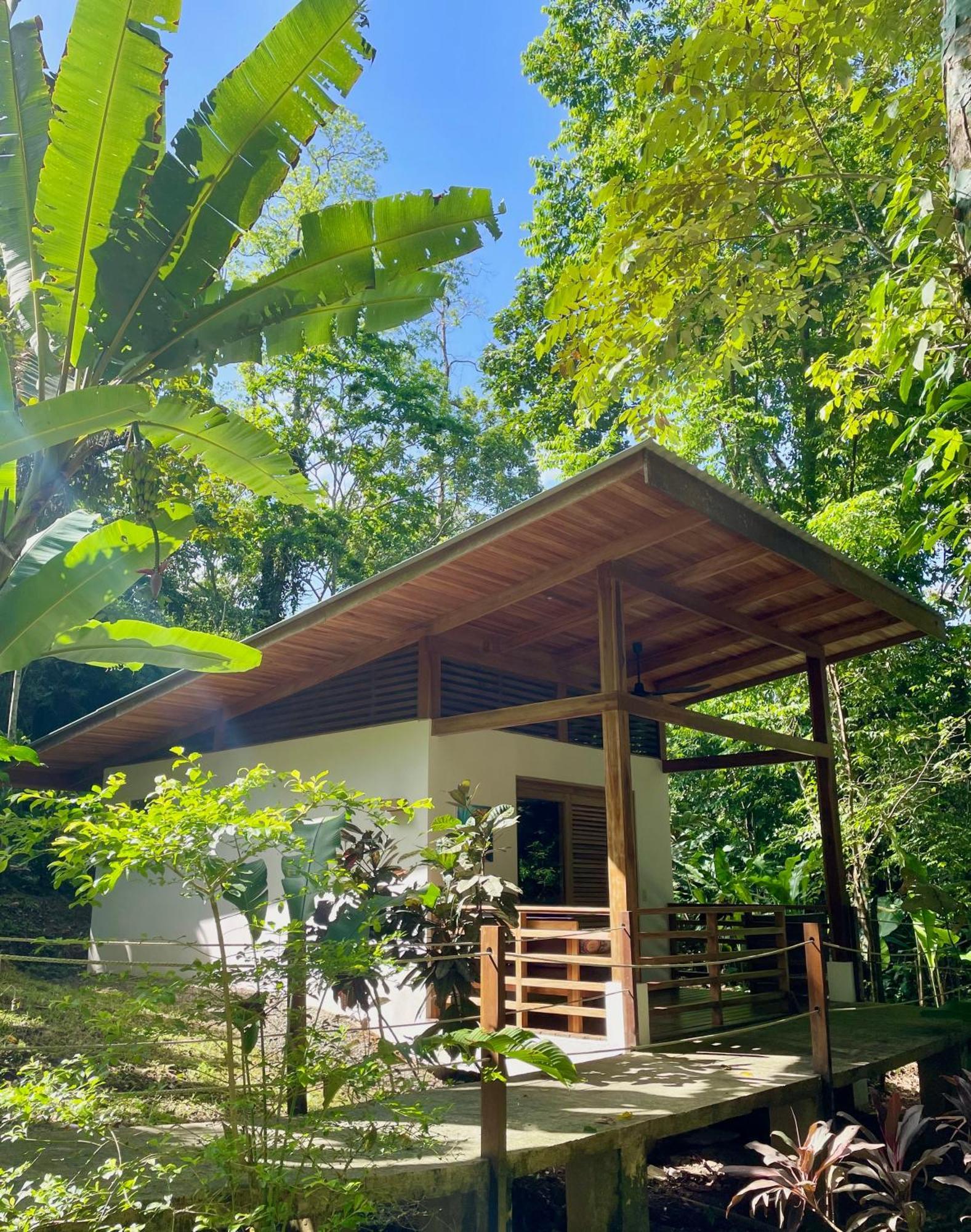 Satta Lodge (Adults Only) Puerto Viejo de Talamanca Kültér fotó