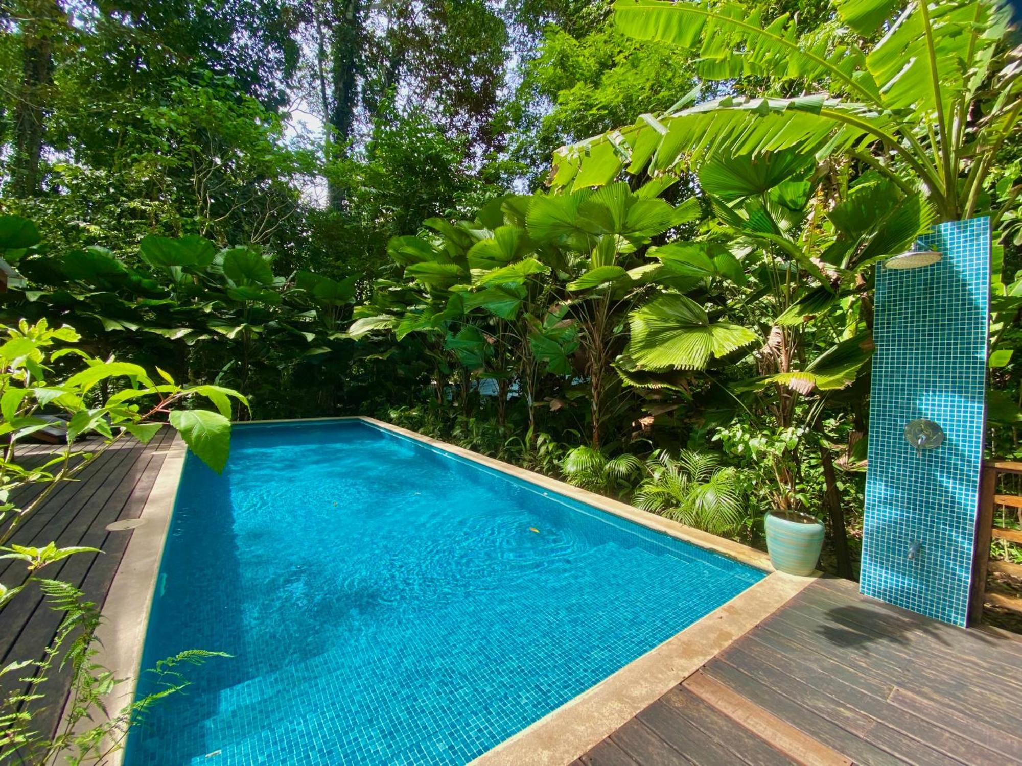 Satta Lodge (Adults Only) Puerto Viejo de Talamanca Kültér fotó